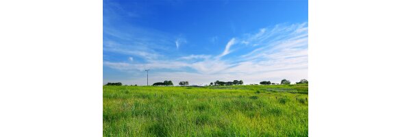 Grassaat