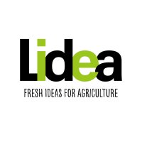 Lidea