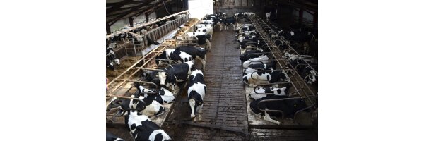 Tierzucht & Tierhaltung