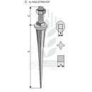 Rippen-Konus-Ackereggenzinken "Stern" Naturhart gerade
