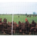 horizont Geflügelnetz | 105 cm hoch | 50 m lang |...