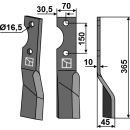 Dent rotative, modèle droit