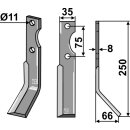 Dent rotative, modèle droit